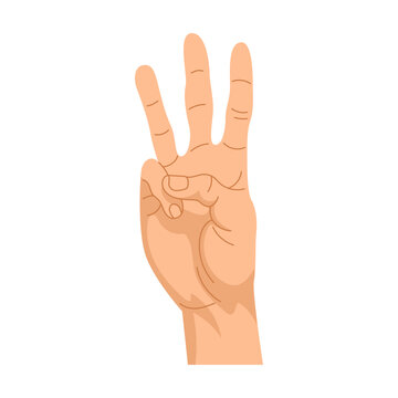 Human palm showing three finger number, gesturing signs. Cartoon symbol, thumbs up, ok positions isolated on white