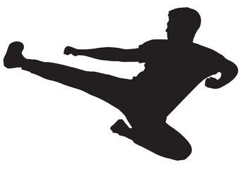 Silhouette Flying Side Kick © charnsitr