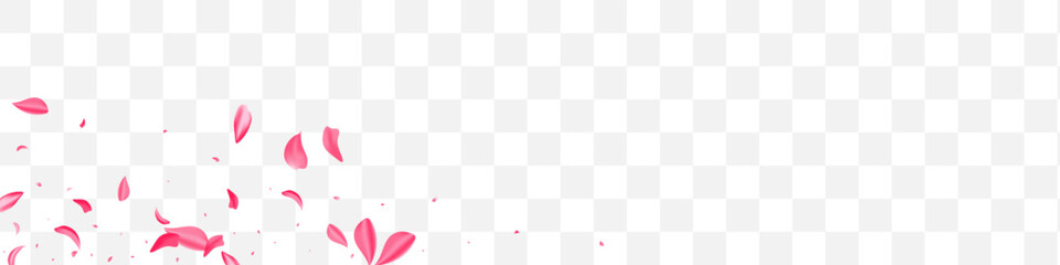 Beautiful Flower Blur Vector Transparent