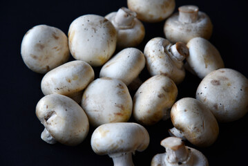 Porcini mushrooms on a black background. Porcini mushrooms close-up.