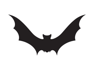 Fototapeta premium Vector illustration of bat.