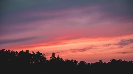Scenic view of a dramatic pink sunset sky over the forest