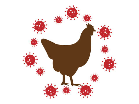 Avian influenza vector illustration. Bird flu virus illustration. H5N1 and H3N8 bird flu epidemic disease. pandemic danger. Viruses from animals to people