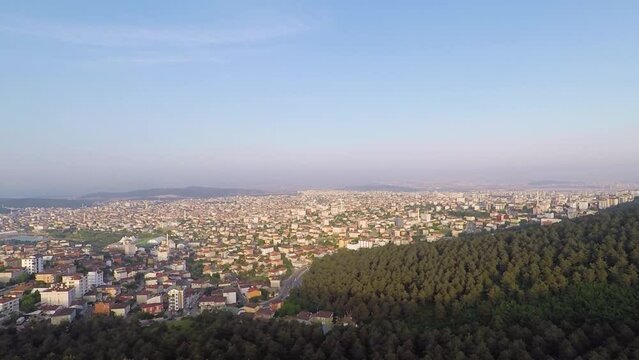 aerial cityscape and forest