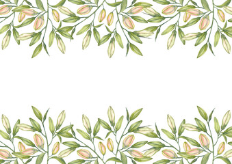 Oriental hybrid lilies. Pink lily flowers and buds. Brochure design template. Watercolor hand-drawn A4 layout on white background.