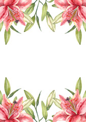 Oriental hybrid lilies. Pink lily flowers and buds. Brochure design template. Watercolor hand-drawn A4 layout.