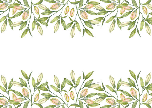 Oriental hybrid lilies. Pink lily flowers and buds. Brochure design template. Watercolor hand-drawn A4 layout on white background.
