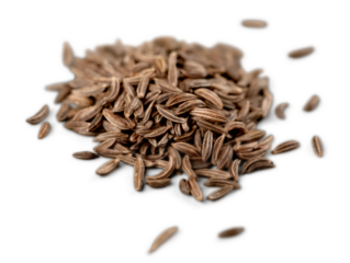 Cumin Seeds on White