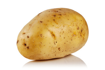 potato on a white  background