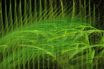 Fototapeta na wymiar palm tree leaves art illustration design concepts fractal background green artwork 