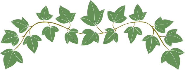 Simplicity ivy freehand drawing