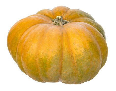 Citrouille musquée de Provence