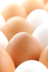 Eggs close up