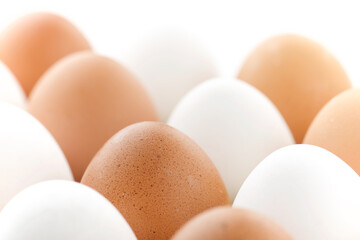 Eggs close up