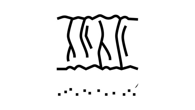 signs of ageing skin line icon animation