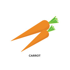 carrot flat illustration icon