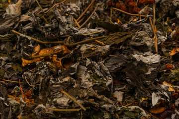 Dry tea leaves as a background.