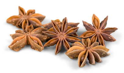 Several anise stars on white