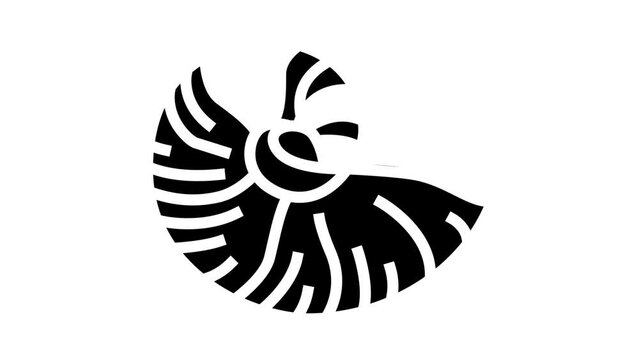 nautilus sea shell beach glyph icon animation