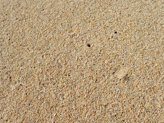 Fototapeta na wymiar Waimanalo Beach Sand