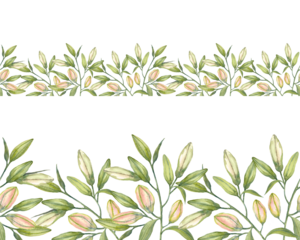 Pink Stargazer Lilies. Lily buds. Watercolor flowers. Seamless border. Hand-drawn art for greeting cards, invitations and interior decoration. Artistic illustration