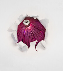 A purple elegant Christmas ball bursting through torn white paper. The concept of a breakthrough...