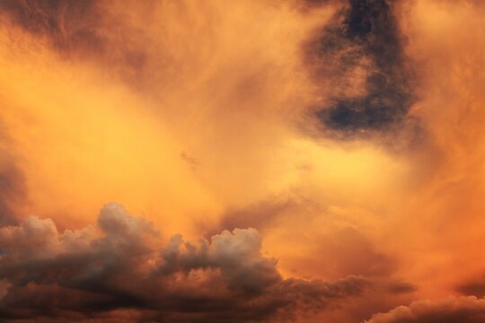 cielo dorado