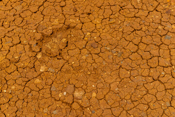 Unterwegs auf der Blumeninsel Madeira und seinen facettenreichen Landschaft - Madeira - Portugal 