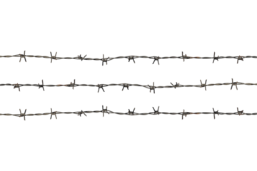 rusty barbed wire isolated from a lantern