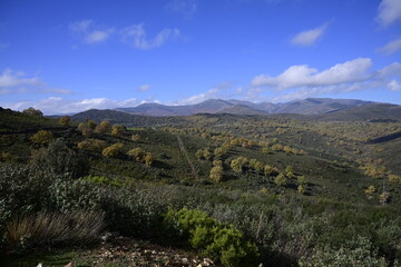 Sierra del Rincón , Madrid