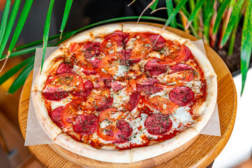 Tasty pizza and cooking ingredients tomatoes basil