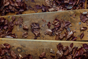 Part of the decoration of the facade of the building and the material from which it is built; 
wooden stairs on which autumn leaves are scattered