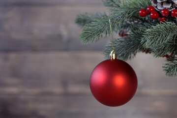 A red ball hangs on a Christmas tree branch. New Year's decor, Christmas card.
