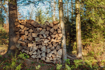 Part of the decoration of the facade of the building and the material from which it is built; 
chopped firewood and neatly stacked between two trees in the forest