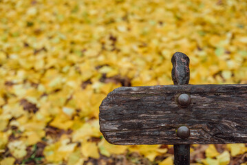 Part of the decoration of the facade of the building and the material from which it is built; 
old bench on the background of yellow leaves on the ground

