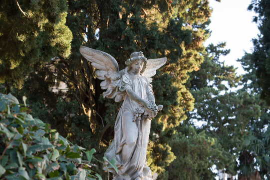Stone statue of Angel in the cemetery surrounded with trees, symbol of great sadness