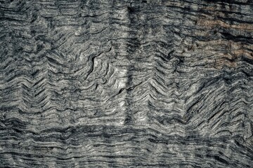 texture of the wood. Old wood background.