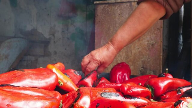 Roasting red peppers for a smoky flavor and quick peeling. Thermal processing of the pepper crop on metal circle. Brazier container used to burn charcoal fuel for cooking or heating. Bulgarian pepper