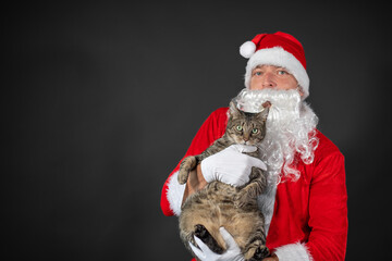 
Portrait von einem verkleideten Weihnachtsmann mit einer Katze auf dem Arm vor grauen Hintergrund mit Platzhalter
