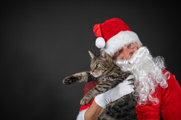 
Portrait von einem verkleideten Weihnachtsmann mit einer Katze auf dem Arm vor grauen Hintergrund mit Platzhalter