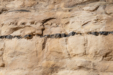 Ein Avdat  rocks of Eocene white limestone bearing thin seams  of black brown flint in southern Israel.
