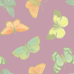 Fototapeta na wymiar Multi-colored butterflies painted in watercolor, collected in a pattern. Seamless background of watercolor butterflies for wallpapers, textiles, wrapping paper, postcards.
