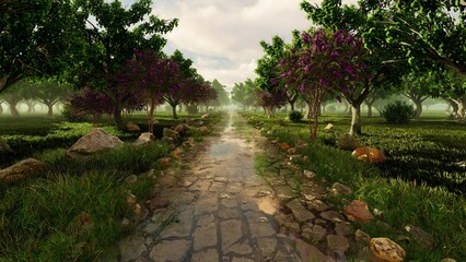 Stone road in the park