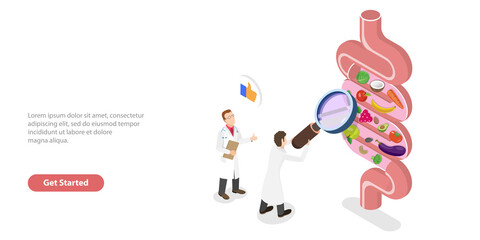 3D Isometric Flat  Conceptual Illustration of Bowel Health Check