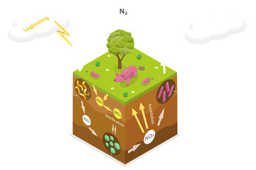 3D Isometric Flat  Conceptual Illustration of Nitrogen Cycle