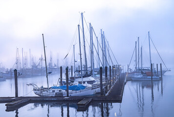 Fishing boats at dawn in fog, Charleston Harbor, Oregon.