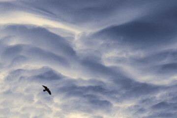  cloud formation over some 12,000 foot peaks in the eastern Alaska range midday.