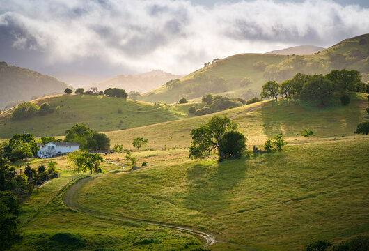 Soft afternoon light on the hills of Marin County, California.