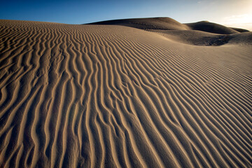 Oceano Dunes Natural Preserve and Oceano Dunes State Vehicular Recreation Area, Pismo Beach, California