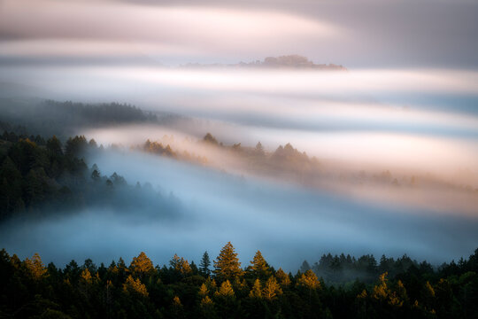 Fog is illuminated at sunset rolling over the mountains and forest on Mount Tamalpais in Marin County, California.